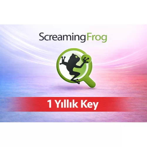  Screaming Frog - 1 Yıl